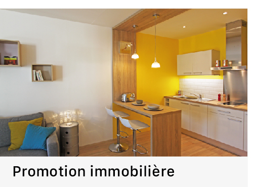 professionnels/lien promotion immobilière 2018
